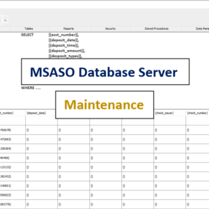 MSASO Database Server – Maintenance