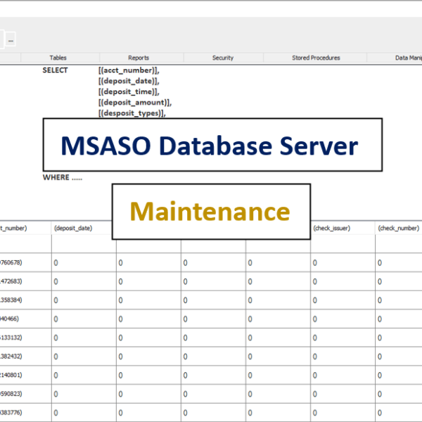 EHR Data Analyzer - Maintenance - MSASO Software and Consulting LLC