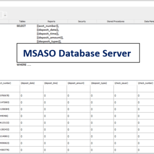 MSASO Database Server